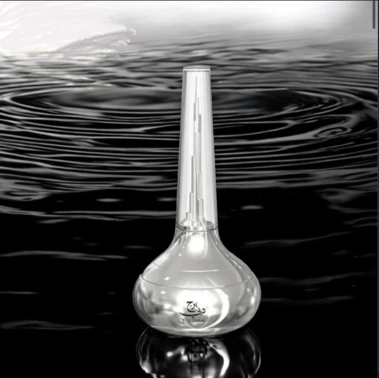 ✨Burj Dubái Le chameau✨