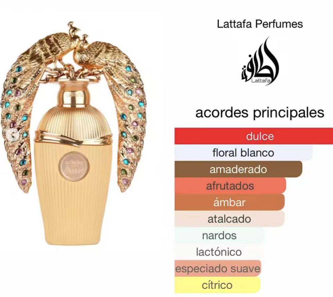 Afeef Lattafa