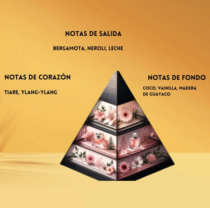 ✨Veneno blanco french venue ✨