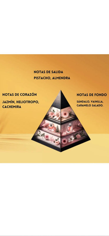 ✨Minya by Paris Corner✨