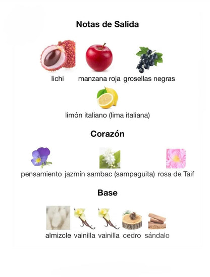 ✨Khair fusión - Paris corner ✨