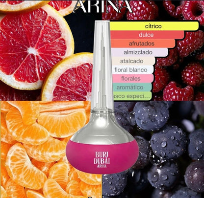 ✨Burj Dubai Arina de Le Chameau✨