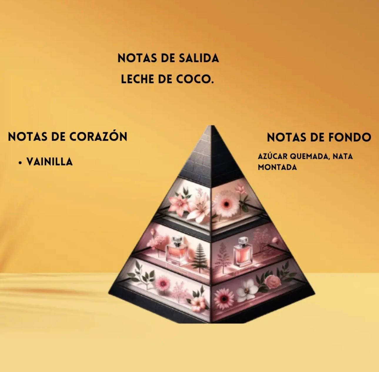 ✨Crème of Clouds – French Avenue✨