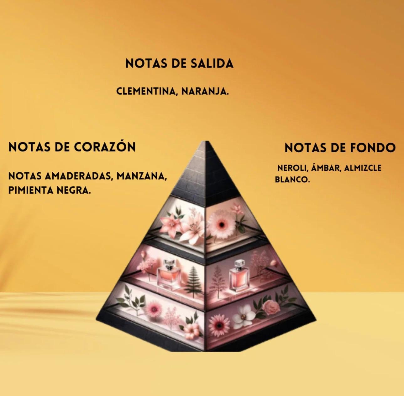 ✨Indomitable – Paris Corner✨