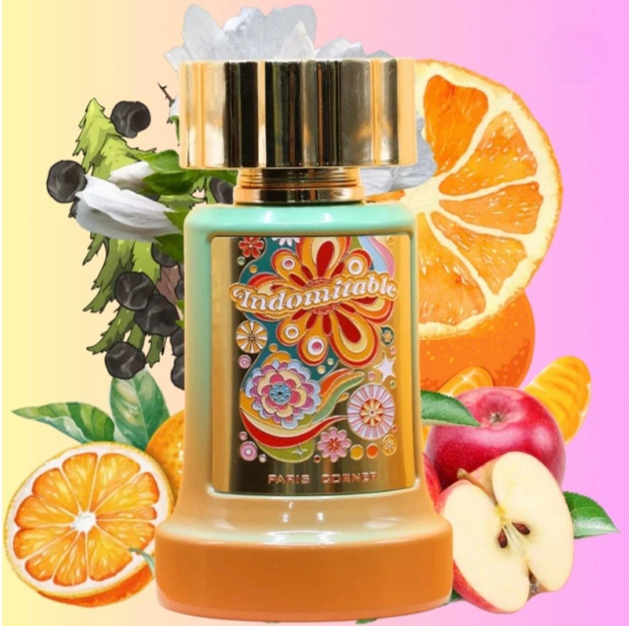 ✨Indomitable – Paris Corner✨