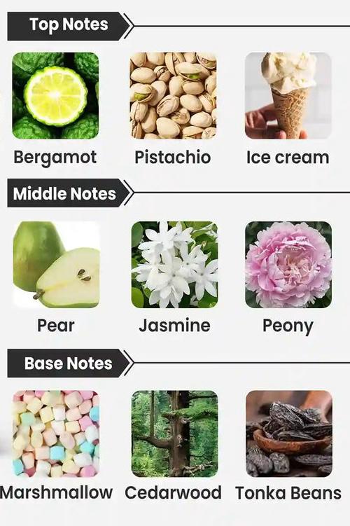 ✨Khair Pistachio – Paris Corner✨