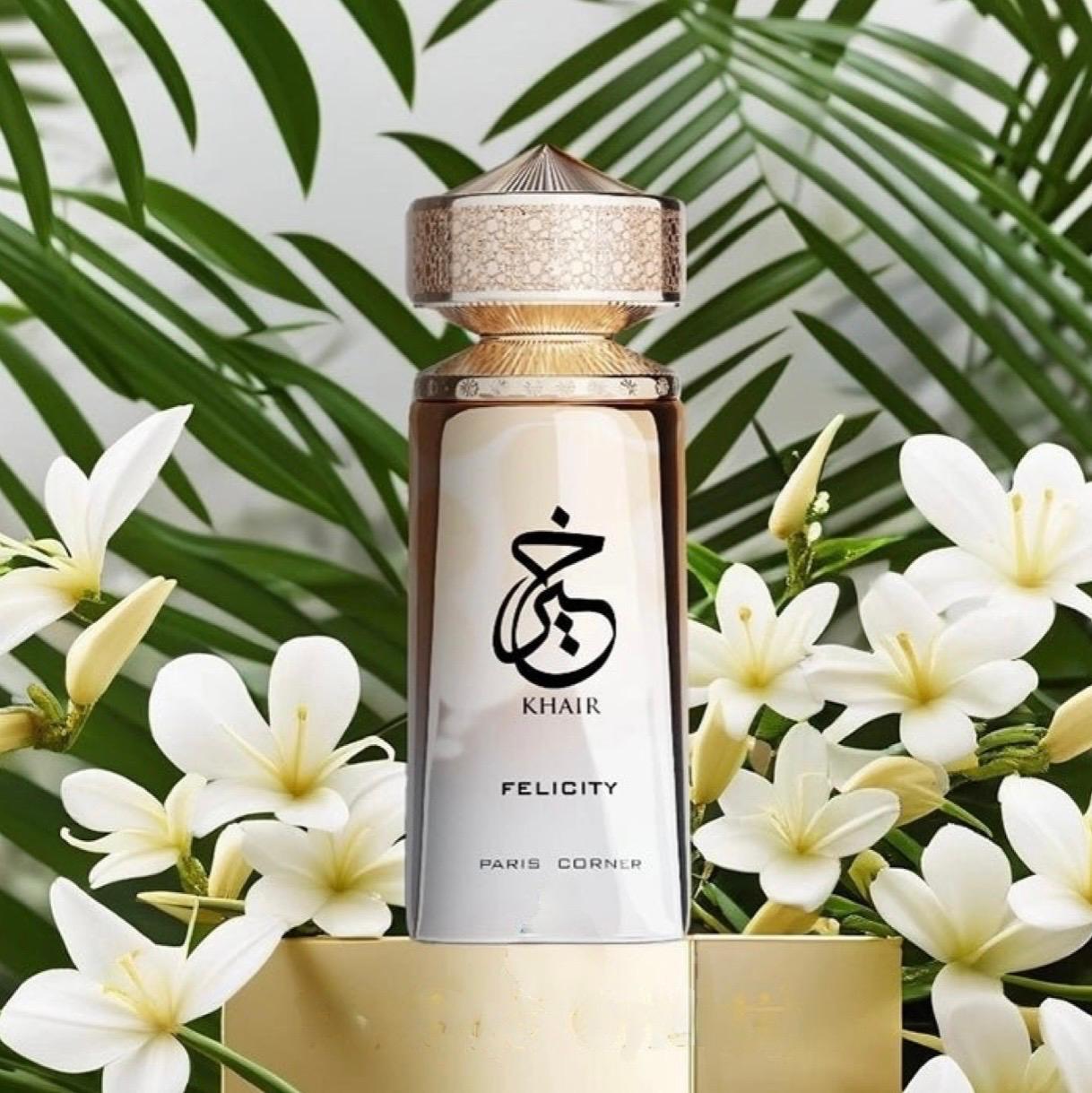 ✨Felicity – Paris Corner✨