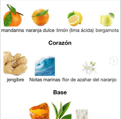 ✨Odyssey Limoni Fresh – Armaf✨