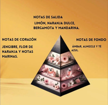 ✨Odyssey Limoni Fresh – Armaf✨