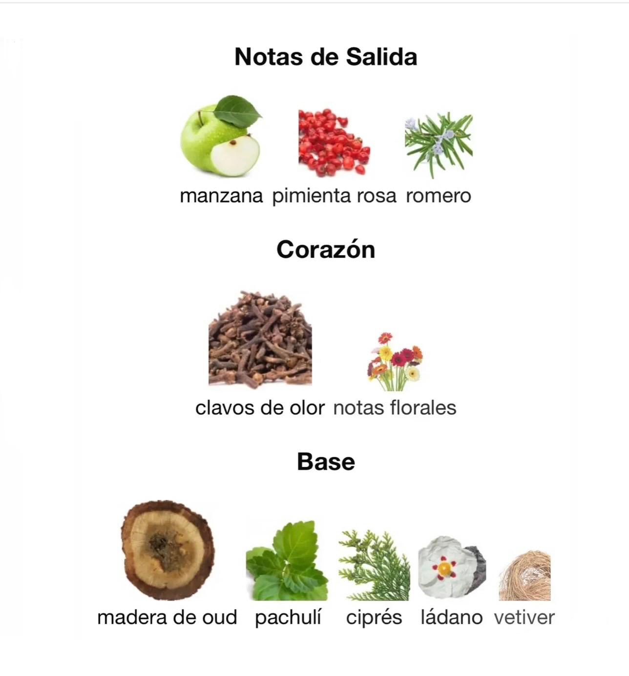 ✨Al Noble Ameer -lattafa✨