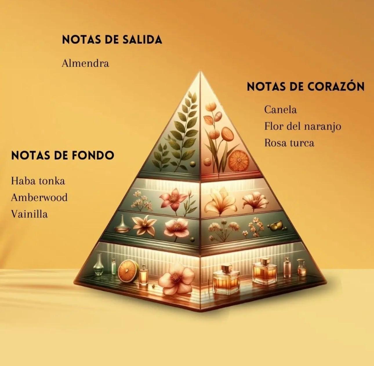 ✨ Shaghaf Oud Tonka – Swiss Arabian✨